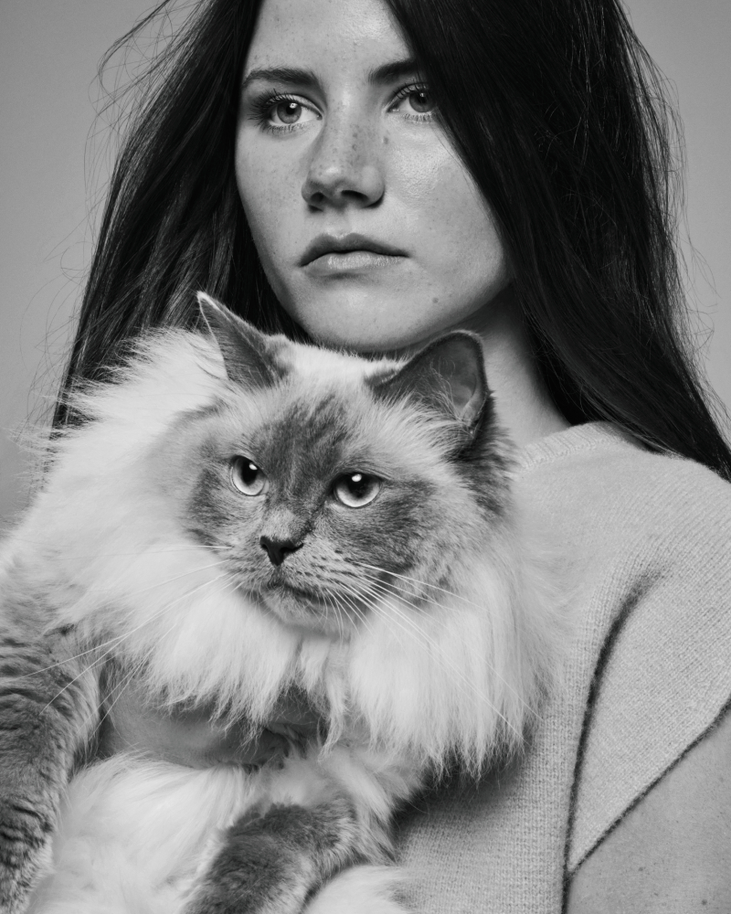 Cat food promo